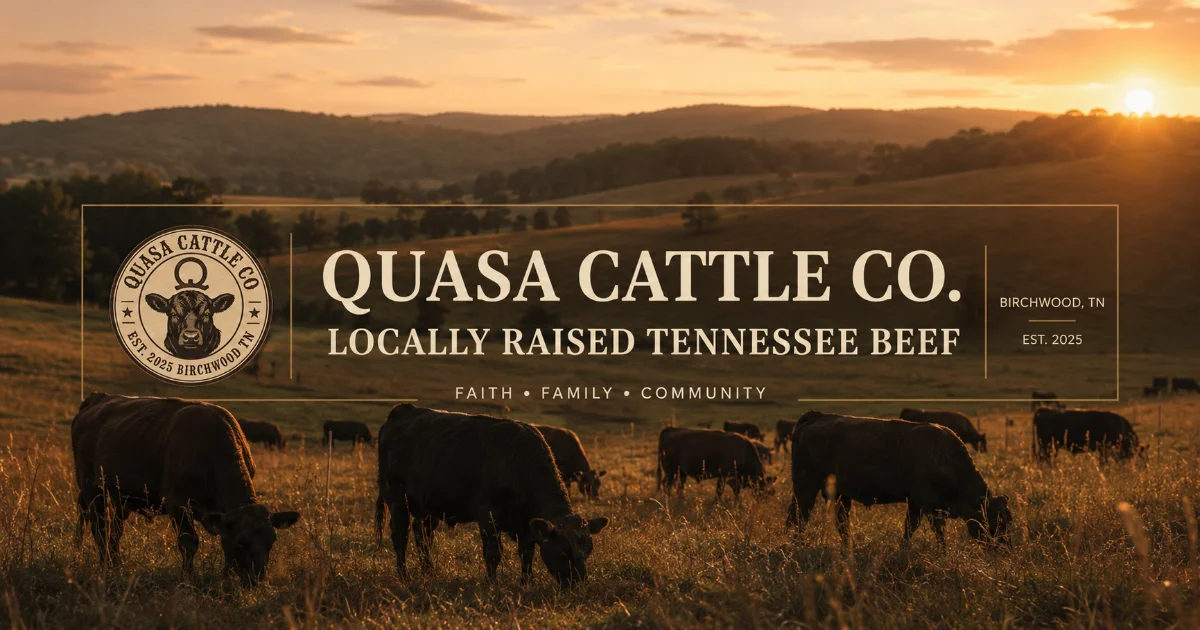 Quasa Cattle Co. — Hero Banner